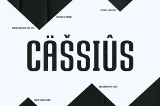 Cassius: The Bold Sans Serif That Commands Attention—Without Compromise