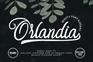 Orlandia: A Handwritten Font That Balances Delicacy and Impact