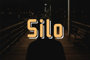 Silo: A Strategic Tool for Modern Decision-Making